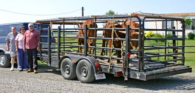 Airy Trailer