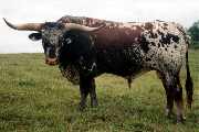Trophy - I-220937 - 1767_4