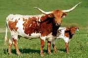 Unchanged - I-220928 - 1969_33