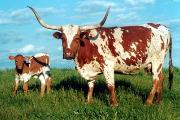 Count My Spots - I-002025345 - 2049_16