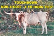 Touchdown - Touchdown - Touchdown