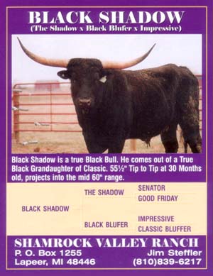 Black Shadow