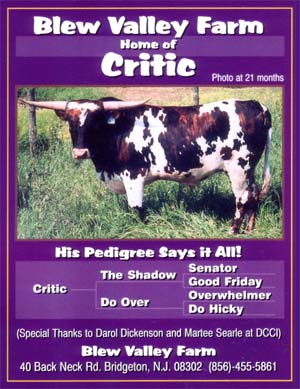 Critic
