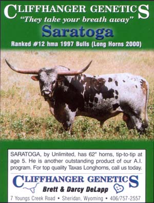 Saratoga