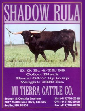 Shadow Rula
