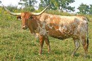 Lead The Field - I-240805 - t_5592