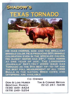 Texas Tornado