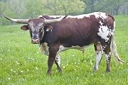 u_1418_s.jpg - Mile Maker