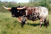 Unspartly - I-227601 - unspartly