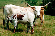 Unabated - I-220919 - 2108_14
