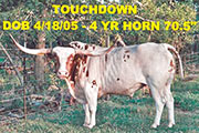 Touchdown - Touchdown - Touchdown