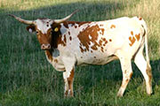 r_3864_s.jpg - Win Largo