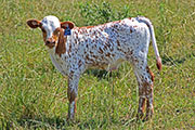 y_2918.jpg