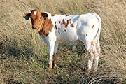 y_4791.jpg