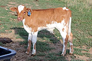 y_5098.jpg