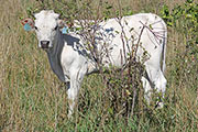y_5158.jpg