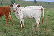 y_5449.jpg