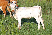 y_6032.jpg