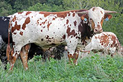 y_6444.jpg