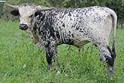y_7128.jpg