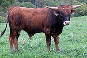 y_7140.jpg