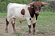 y_7144.jpg