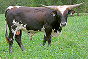 y_7164.jpg