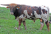y_7178.jpg