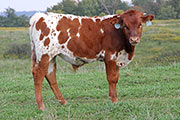 y_7660.jpg