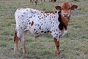 y_7755.jpg