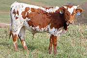 y_8046.jpg