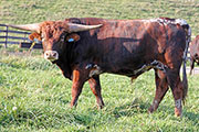 y_8197.jpg