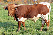 y_8200.jpg