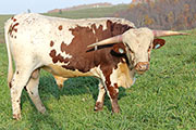y_8217.jpg