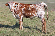 y_8671.jpg