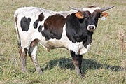 y_8751.jpg