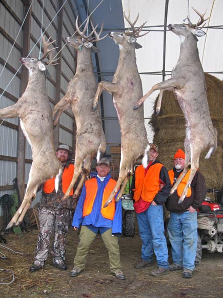 Awesome Bucks