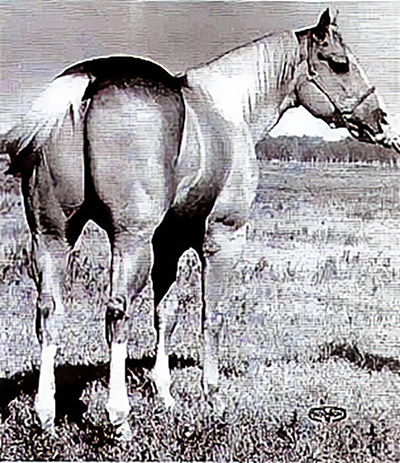 Sure Cash 11439
