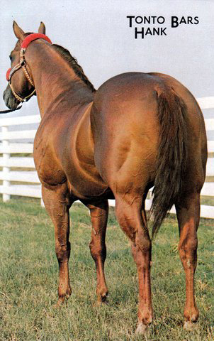 Tonto Bars Hank 11438