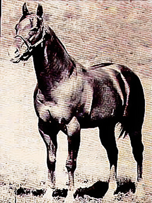 War Chant 11447