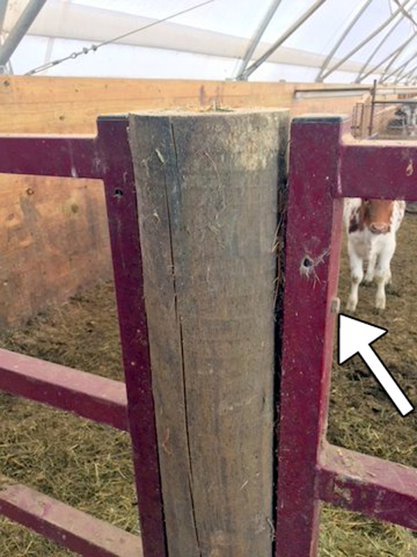 Bry Crowding Panel attachment point