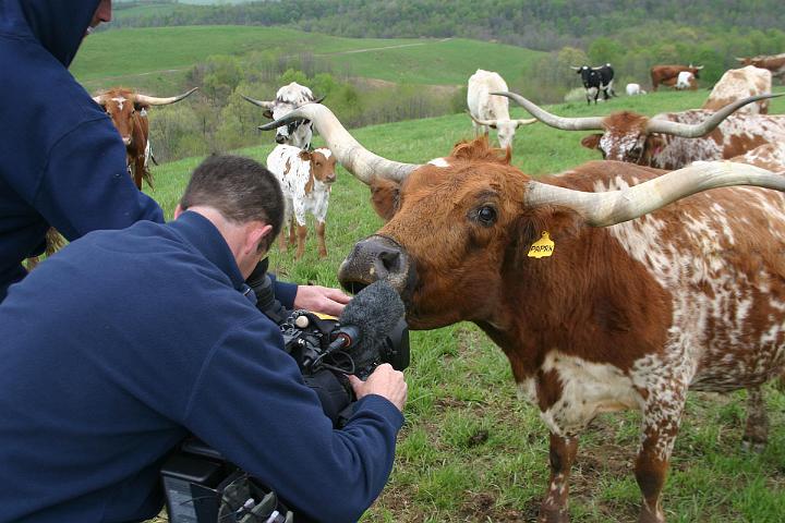RFD-TV documentary up close and personal.