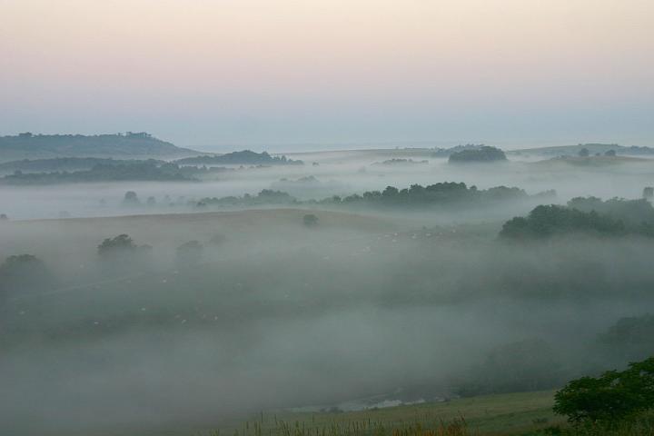 Foggy Morning on the ranch
