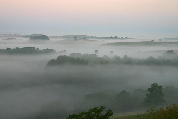 Foggy Morning on the ranch