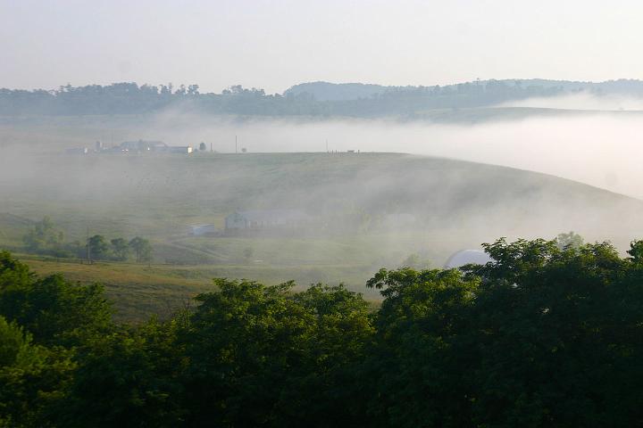 Foggy Morning on the ranch