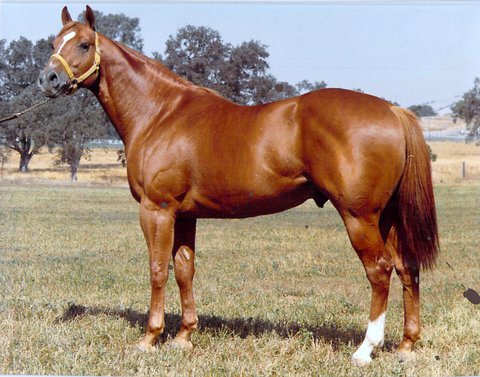 Don Guerro