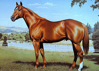 Don Guerro 11346