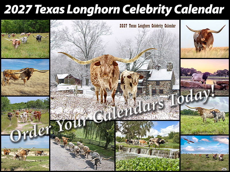 2026 Texas Longhorn Celebrity Calendar
