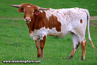 Dream Shot - Photo Number: 25J_1494.jpg
