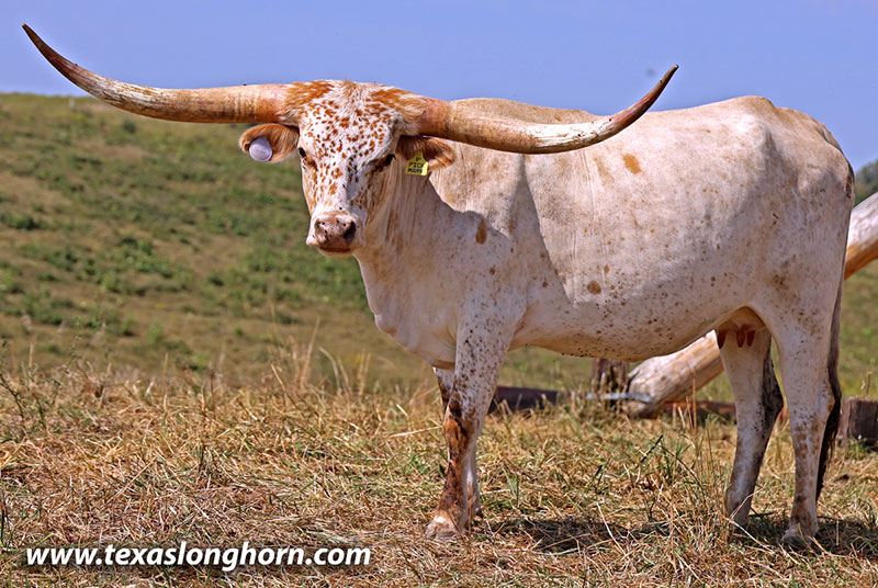 Pick The Mark - Photo Number: 25J_4059.jpg